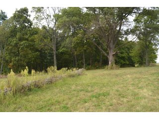 Pond in Dekalb County, Indiana - MAJOR LAND AUCTION - 516+/- ACRES OFFERED IN 18 TRACTS OR COMBINATIONS IN DEKALB COUNTY, INDIANA